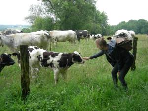 1407 Florenville 008