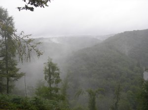 1407 Florenville 017