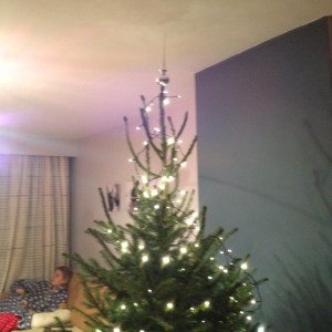 kerstboom